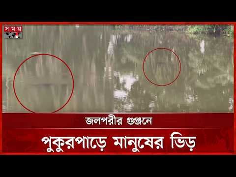 পুকুরে জলপরীর গুঞ্জন, রহস্য দেখতে মানুষের ঢল