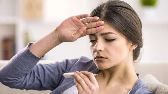 ডেঙ্গুর ‘ক্রিটিক্যাল ফেজ’ কী?