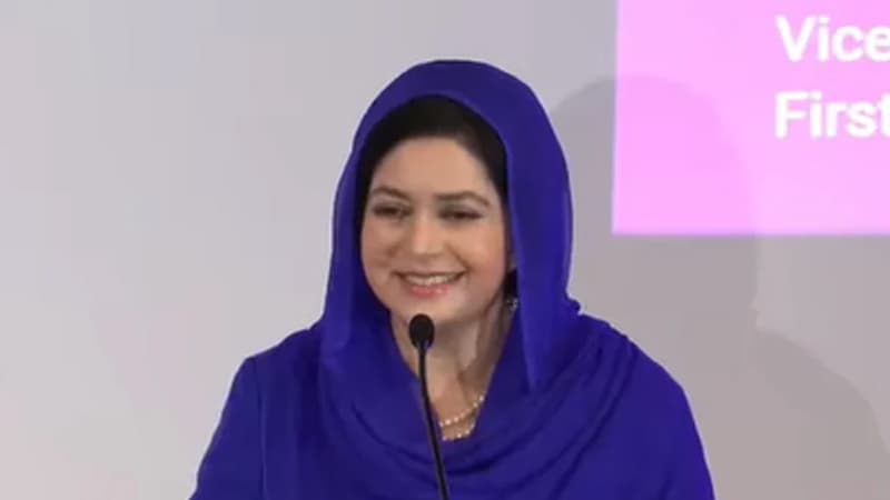 নারীস্বাস্থ্য রূপান্তরে বৈশ্বিক অংশীদারত্ব ও উদ্ভাবনী অর্থায়নের আহ্বান জুবাইদা রহমানের নারীস্বাস্থ্য রূপান্তরে বৈশ্বিক অংশীদারত্ব ও উদ্ভাবনী অর্থায়নের আহ্বান জুবাইদা রহমানের