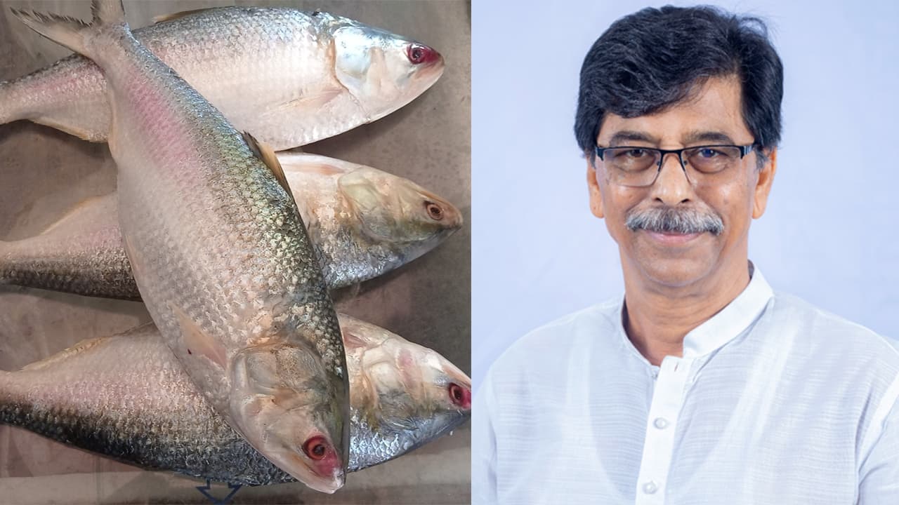 মা ইলিশ রক্ষায় ১১১ এমপিকে মন্ত্রীর ডিও লেটার মা ইলিশ রক্ষায় ১১১ এমপিকে মন্ত্রীর ডিও লেটার