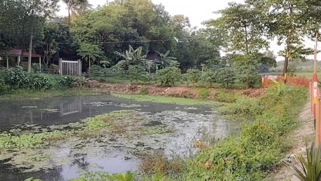 কালীগঞ্জে দুদিনে ২ মরদেহ উদ্ধার কালীগঞ্জে দুদিনে ২ মরদেহ উদ্ধার