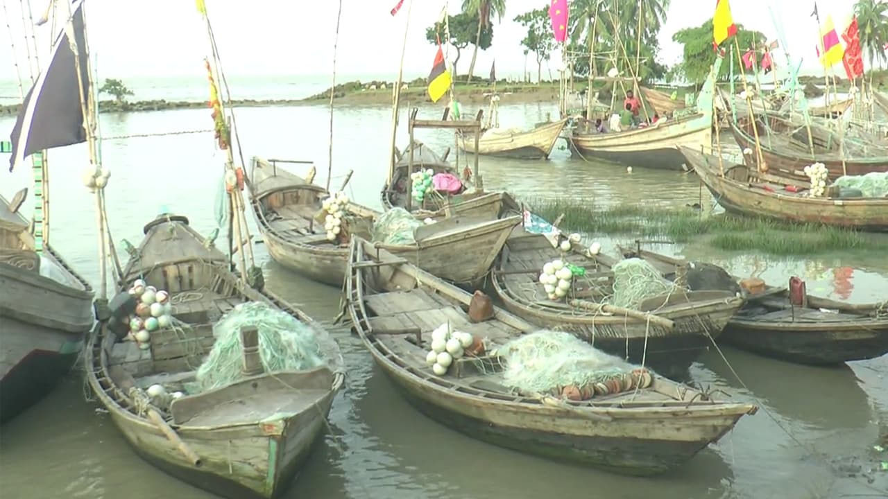 ২৩০ কোটি টাকা খরচের পরও কমেছে ইলিশের উৎপাদন, বিপাকে জেলেরা ২৩০ কোটি টাকা খরচের পরও কমেছে ইলিশের উৎপাদন, বিপাকে জেলেরা