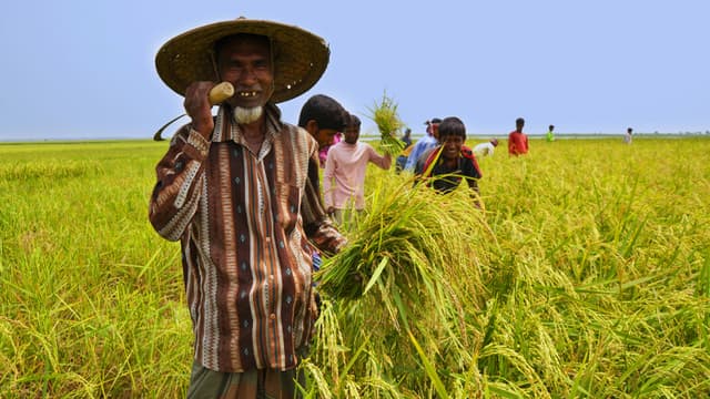 কৃষিঋণ মওকুফে ১৪ লাখ কৃষকের মুখে হাসি, অর্থনীতিতে নতুন গতি কৃষিঋণ মওকুফে ১৪ লাখ কৃষকের মুখে হাসি, অর্থনীতিতে নতুন গতি
